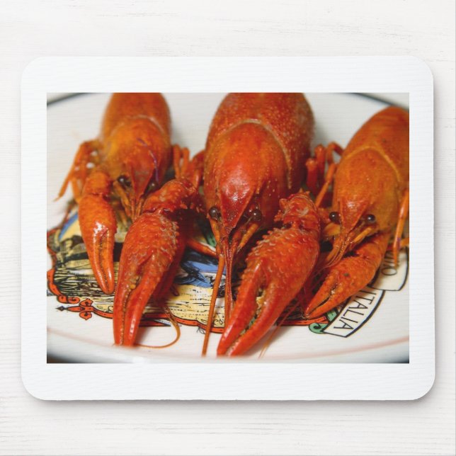 Mousepad Lagostins (Frente)