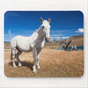 Mousepad Laguna Azul, paisagem com cavalos