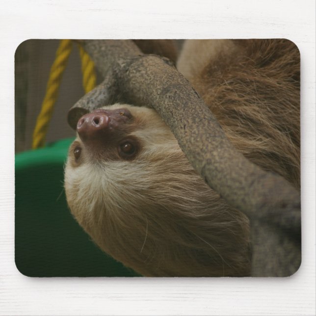 Mousepad Lama (Frente)