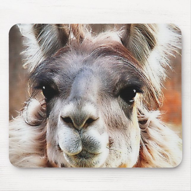 Mousepad Lama (Frente)