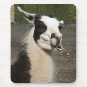 Mousepad Lama de almoço