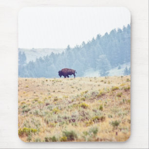 Mousepad Lamar