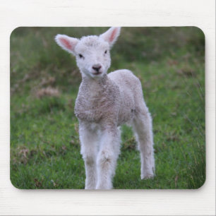 Mousepad Lamb Baby Shea Fazenda Animal