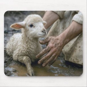 Mousepad Lamb sendo resgatada por um pastor