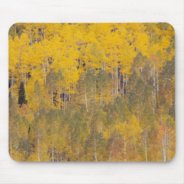 Mousepad Lambert Hollow, árvores de álamo (Frente)