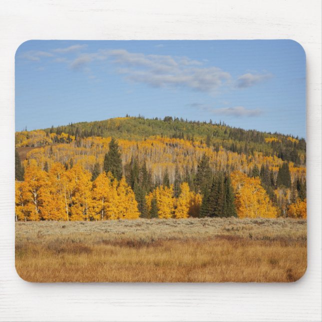 Mousepad Lambert Hollow, árvores de álamo (Frente)