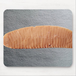 Mousepad Lâmina de faca