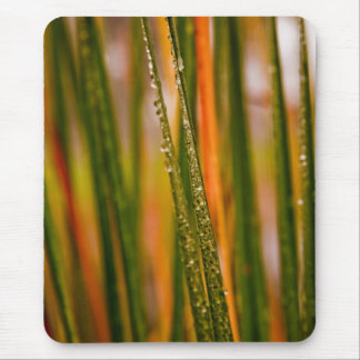 Mousepad Lâminas de relva
