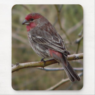 Mousepad Lâmpada púrpura