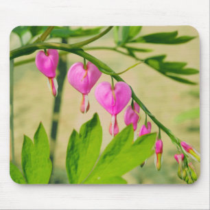 Mousepad Lamprocapnos Flor do Coração Russo Asiático Hem