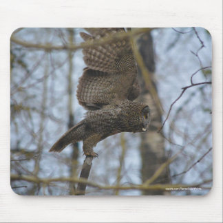 Mousepad Lançamento de Cinza excelente em Floresta Foto de