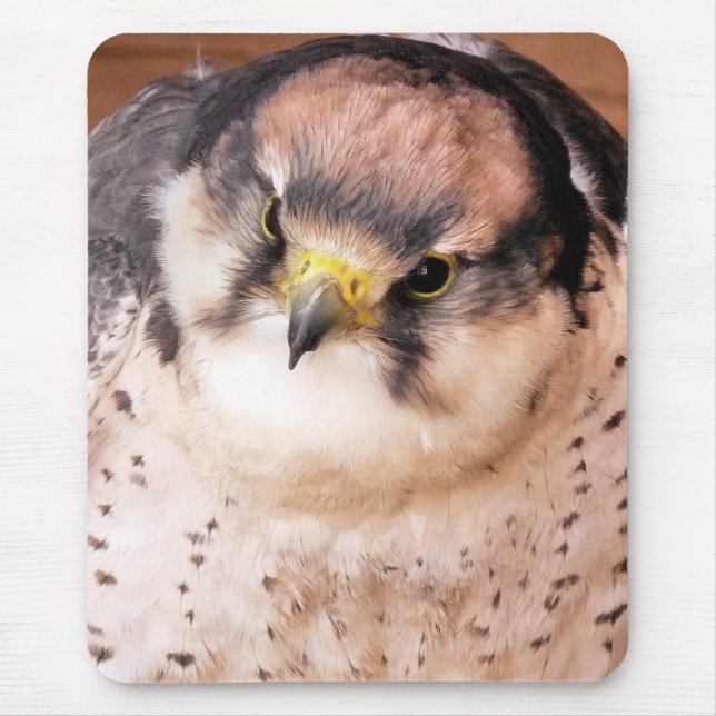 MOUSEPAD LANNER FALCON (Frente)