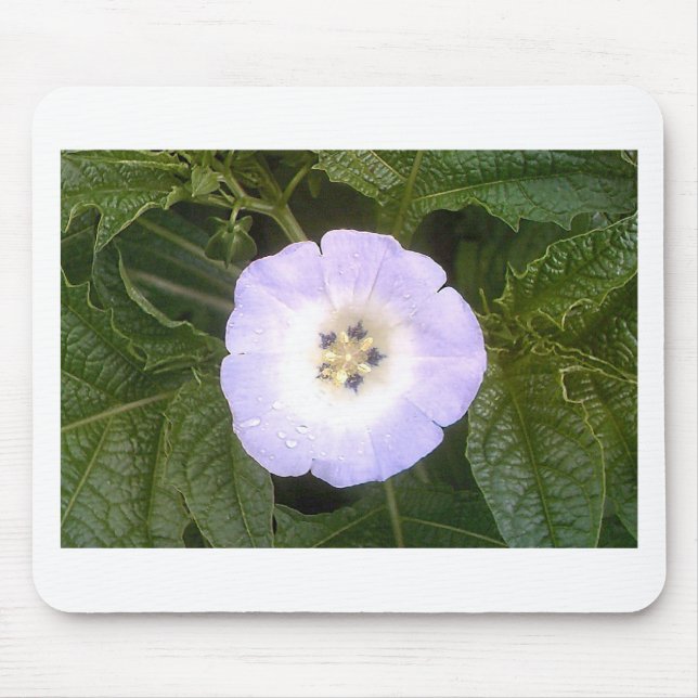 Mousepad Lanterna Chinesa (Frente)