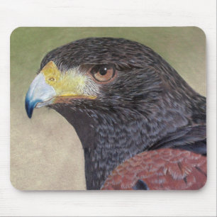Mousepad lápis de cor Harris Hawk