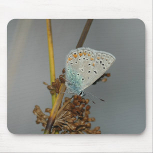 Mousepad Laranja Branco Azul com Borboleta Preta
