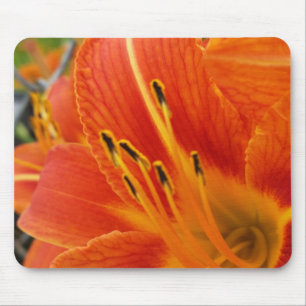 Mousepad laranja brilhante