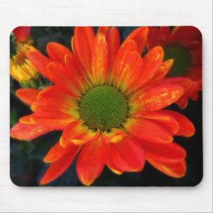 Mousepad Laranja Brilhante com o Pad do Mouse Raindrops