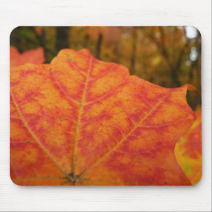 Mousepad Laranja e Vermelho Abstrato de Folha Folha de Outo
