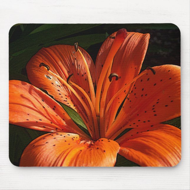 Mousepad Laranja profunda (Frente)