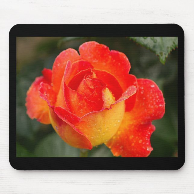 Mousepad Laranja Rosa Floral (Frente)