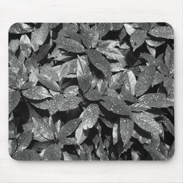 Mousepad Laurel, Aucuba Japonica - B/W (Frente)