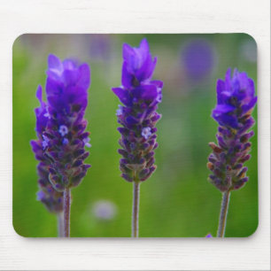 Mousepad lavanda