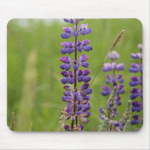 Mousepad Lavanda Alaskan Lupines