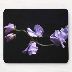 Mousepad lavandas