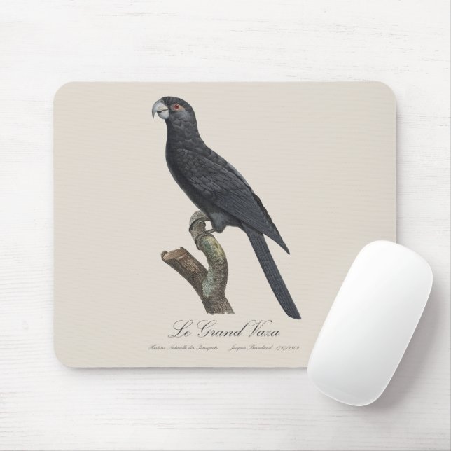 Mousepad Le Grand Vaza / Grande Vasa Parrot (Com mouse)
