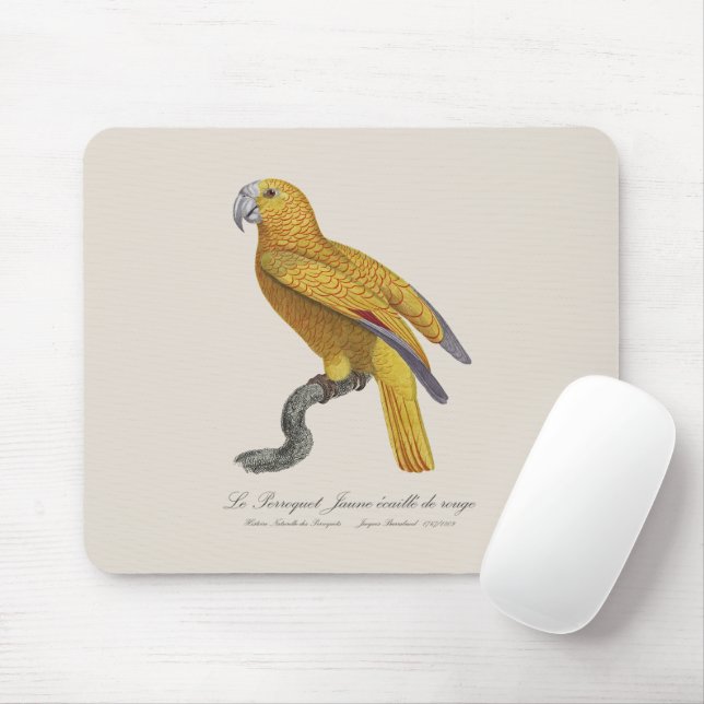 Mousepad Le Perroquet Jaune ecaille de rouge (Com mouse)