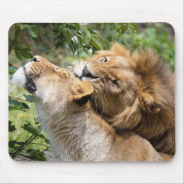 Mousepad Leão