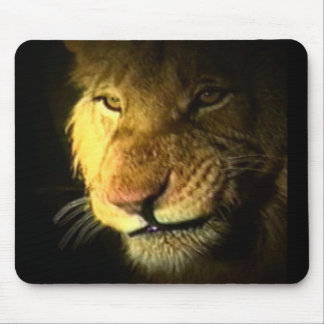 Mousepad Leão