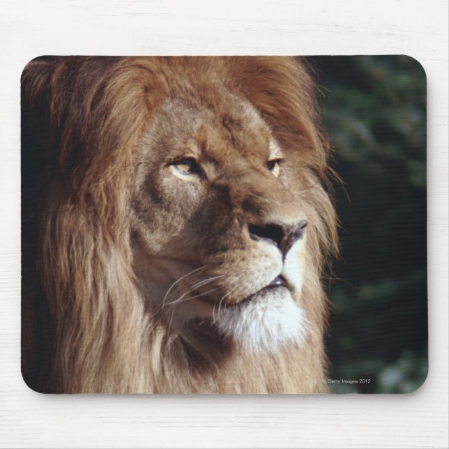 Mousepad leão (Frente)