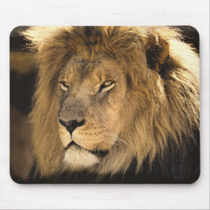 Mousepad Leão