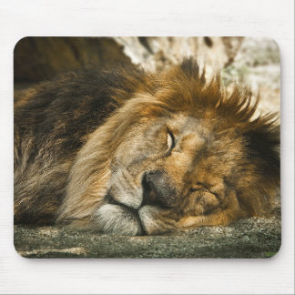 Mousepad leão