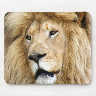 Mousepad leão