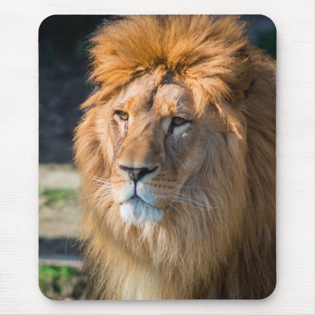 Mousepad Leão 013 (Frente)