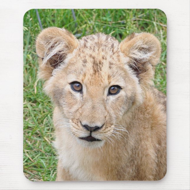 Mousepad Leão 016 (Frente)