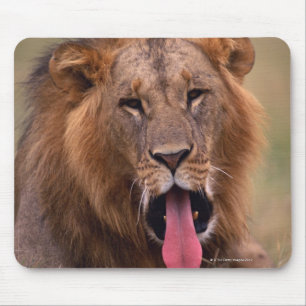 Mousepad Leão 2