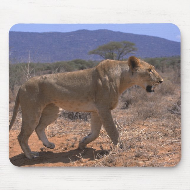 Mousepad Leão 3 (Frente)