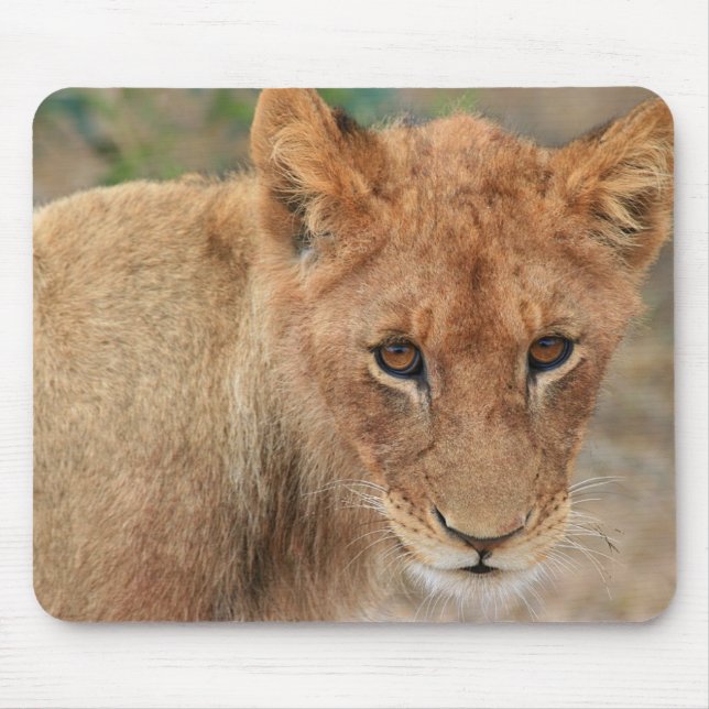 Mousepad Leão Cub (Frente)