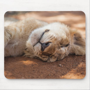 Mousepad Leão Cub do sono das imagens   de Getty