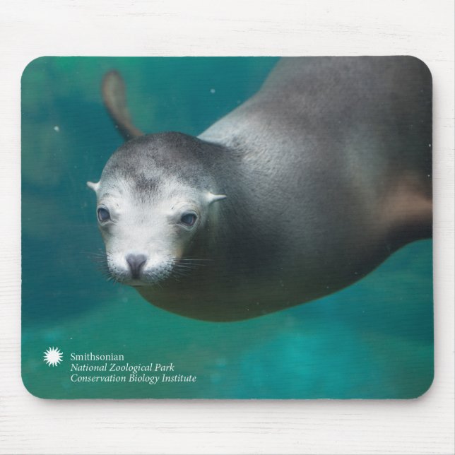 Mousepad Leão de mar de Smithsonian | (Frente)