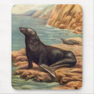 Mousepad Leão de mar pelo litoral, mamíferos marinhos do