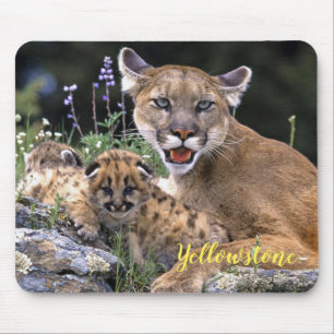 Mousepad Leão de Montanha do Mouse Pad-Yellowstone