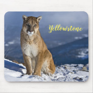 Mousepad Leão de Montanha do Mouse Pad-Yellowstone