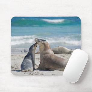 Mousepad Leão do Mar da Austrália com filhotes na praia