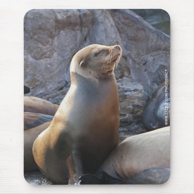Mousepad Leão Marinho (Frente)