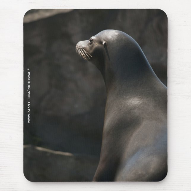Mousepad Leão-Marinho (Frente)