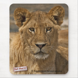 Mousepad Leão novo